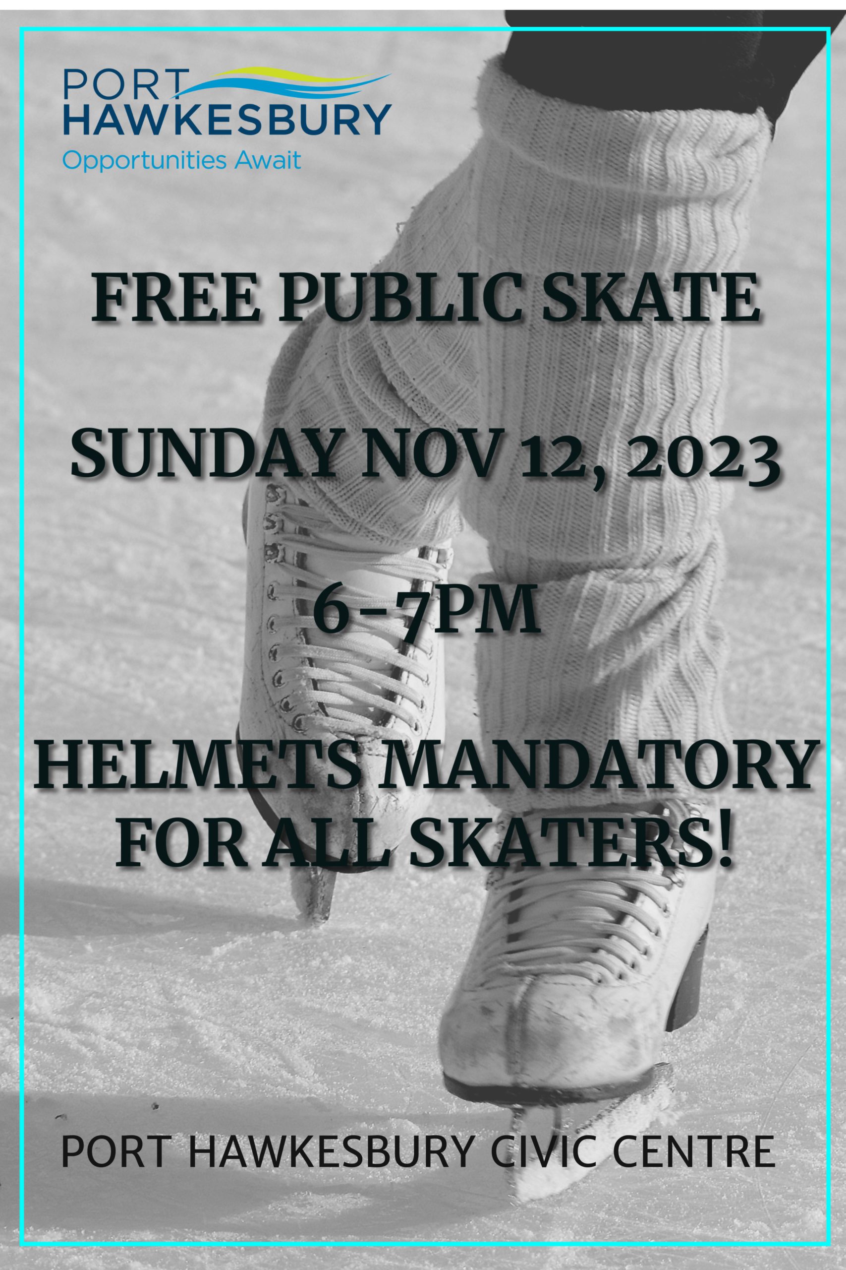 Public Skate-November 12th 6-7pm